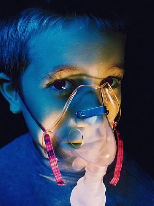 原来螨虫的最大天敌不是暴晒屋子放1点它让螨虫都消失了