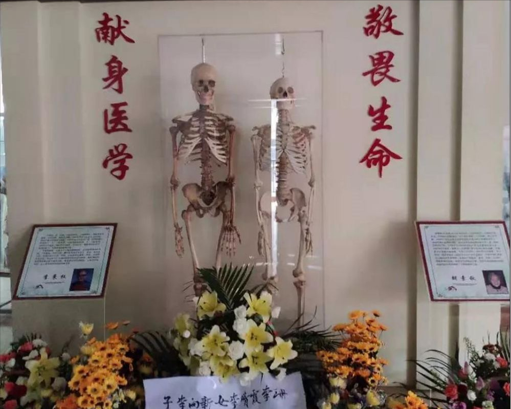 回顾:夫妻两人捐遗体,14年后特殊"重逢",两架白骨并排"站立"