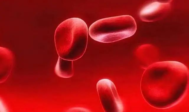 铁的吸收主要在小肠吸收,但是小肠粘膜上皮细胞对血红素铁的吸收率