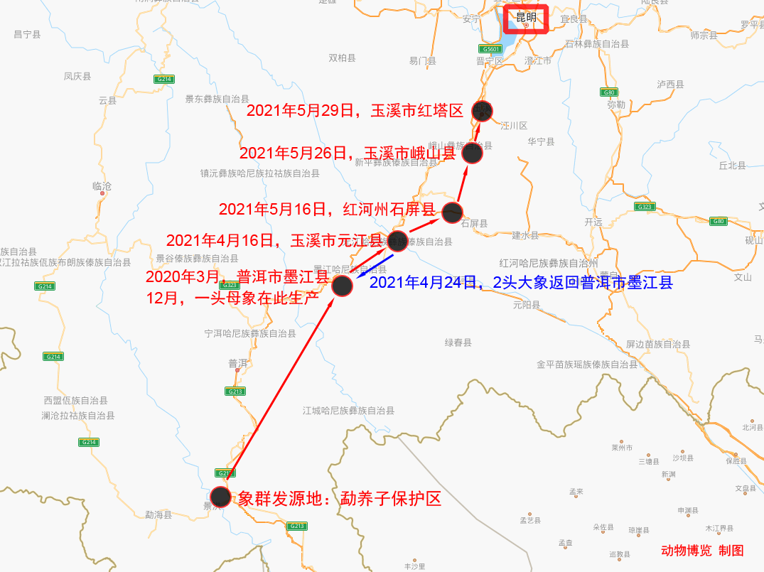 云南野象行进路线图图片