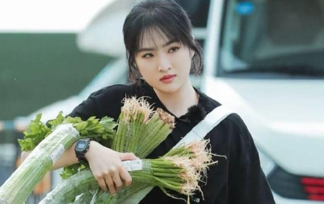 回顾华为千金姚安娜住着5亿豪宅管家年薪40万却非要当明星