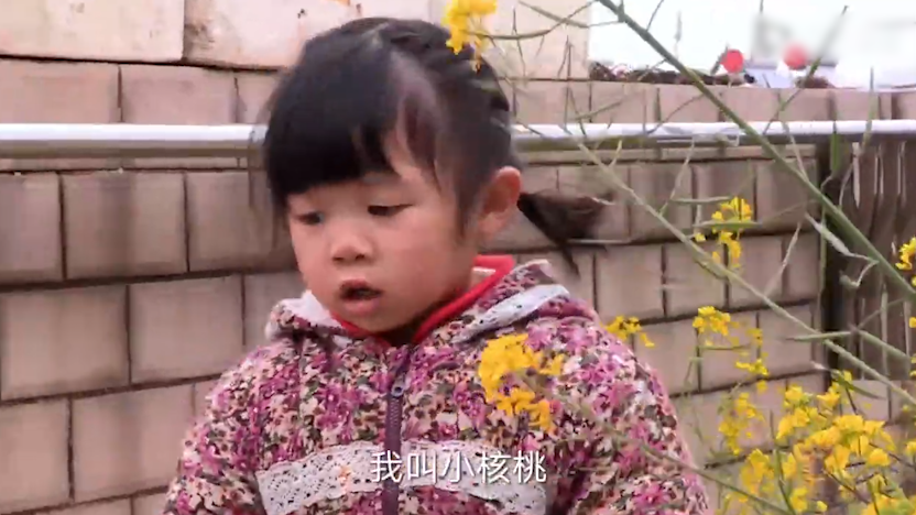 或许,张颖不算是正常的母亲,但她一定是个合格的母亲.