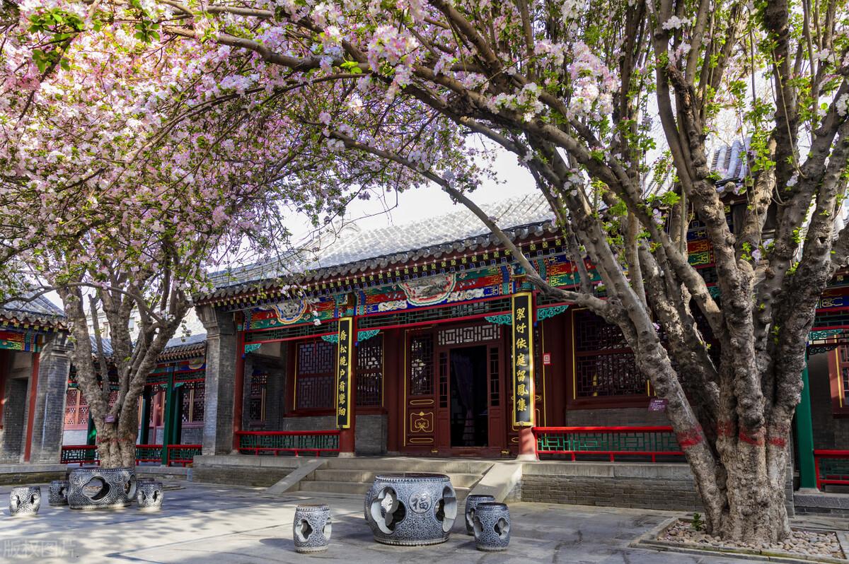 只恐夜深花睡去故烧高烛照红妆春半醉春烟海棠花未眠