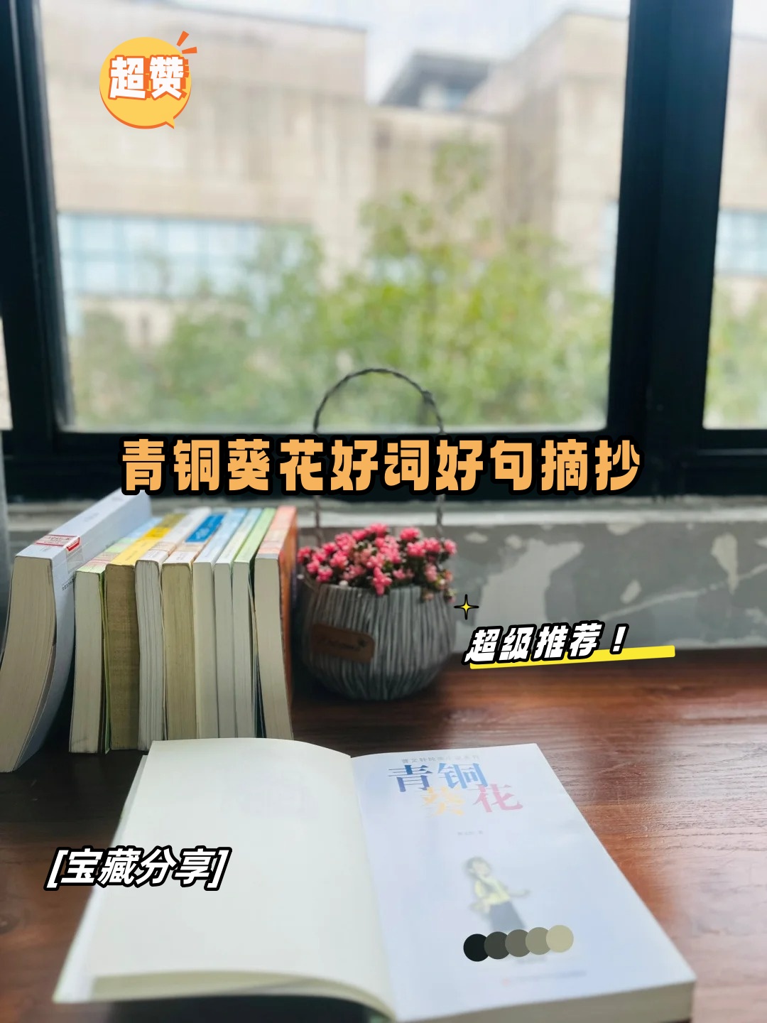 青铜葵花好词好句摘抄