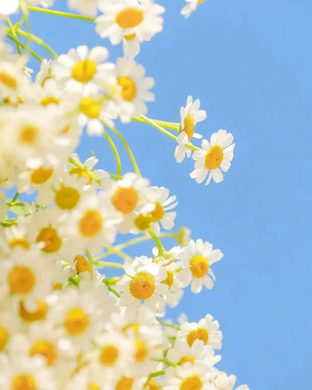 背景图片简约淡雅大气  9194在这个快节奏的时代,我们都在寻找一