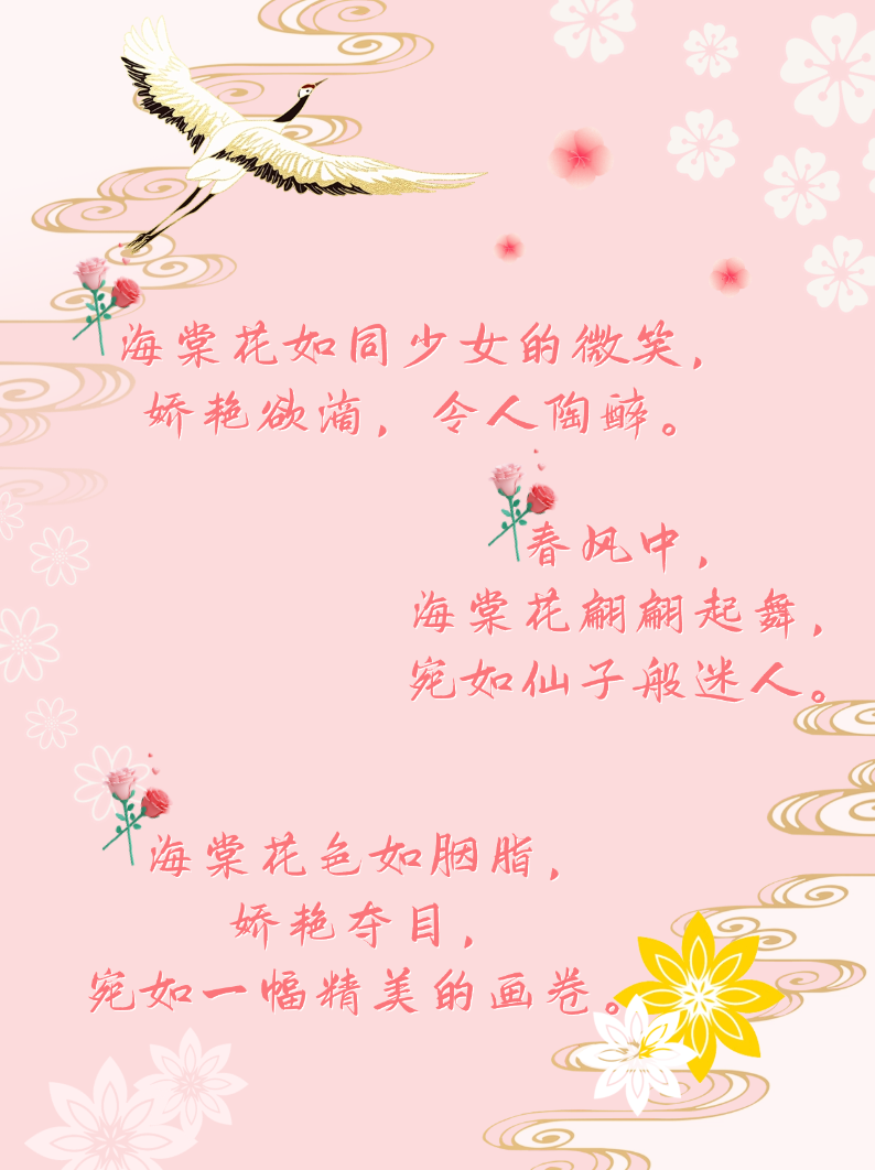 海棠花的描写优美句子