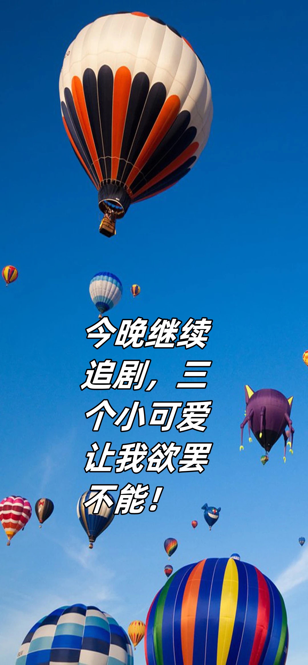 他们每个人都那么可爱,每个角色都那么有魅力,看得我简直要