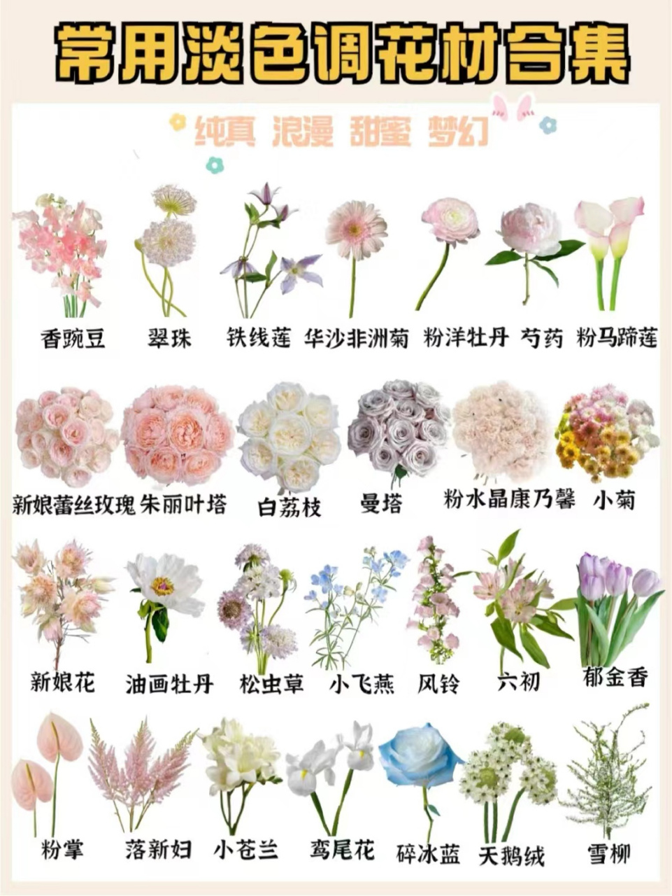 各种花卉图片大全及花名  94花有约,春不误.
