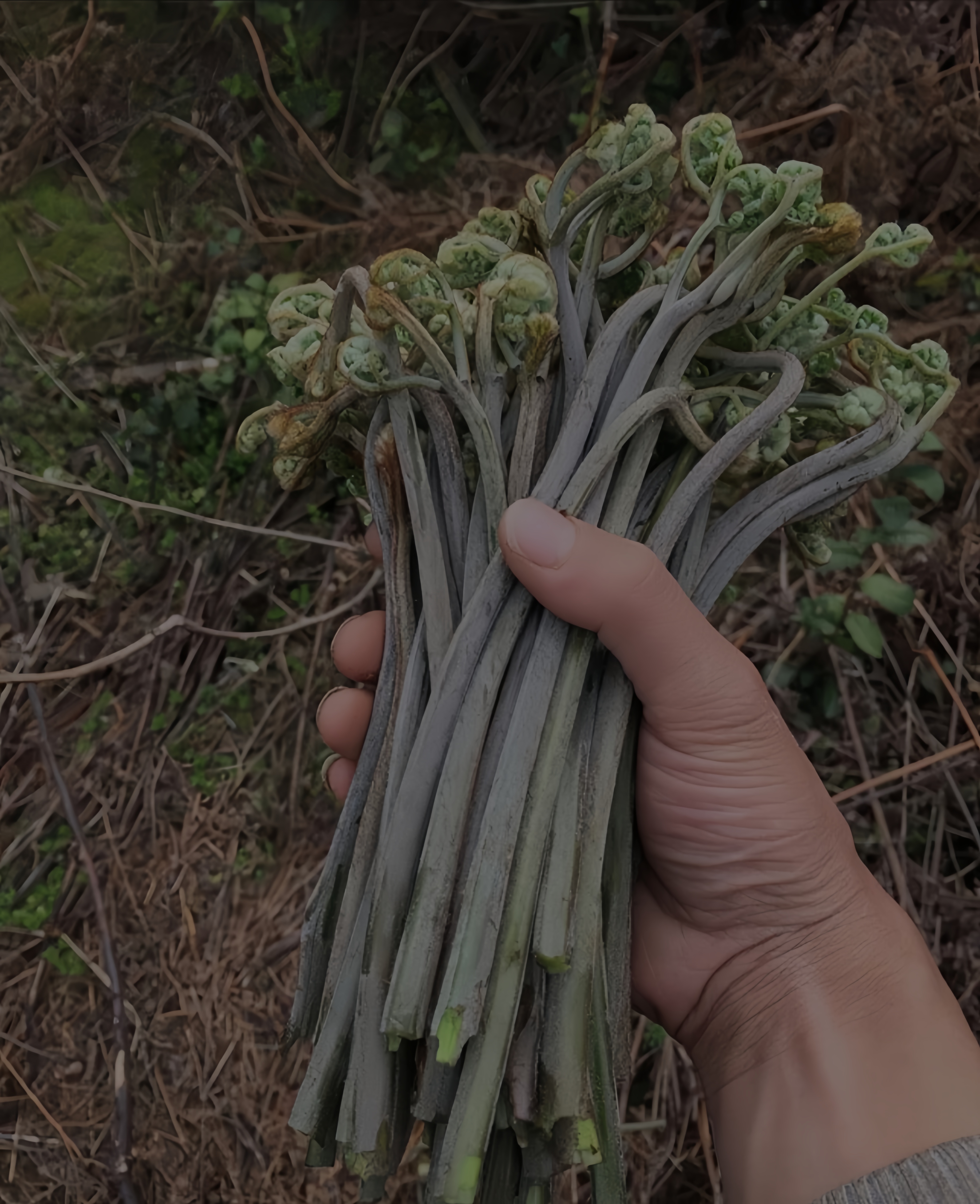 你知道吗?