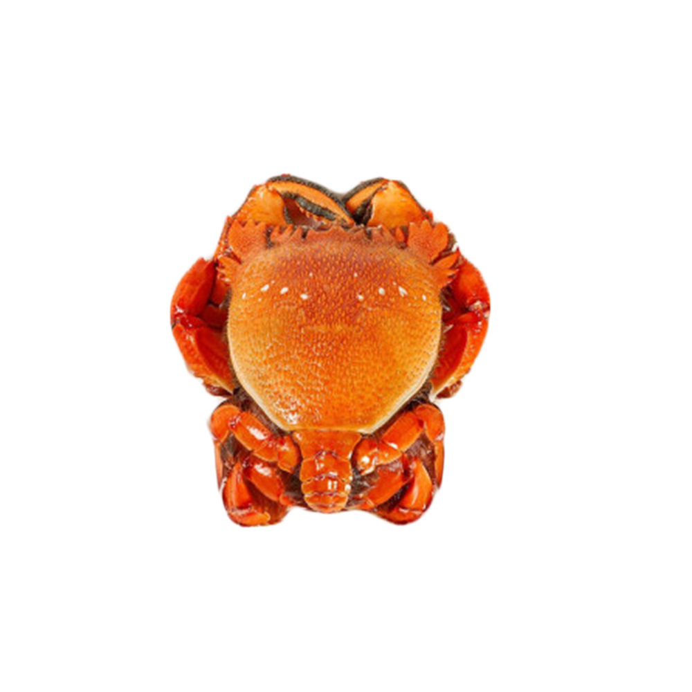 老虎蟹怎么选?买之前要牢记这些选购要点!