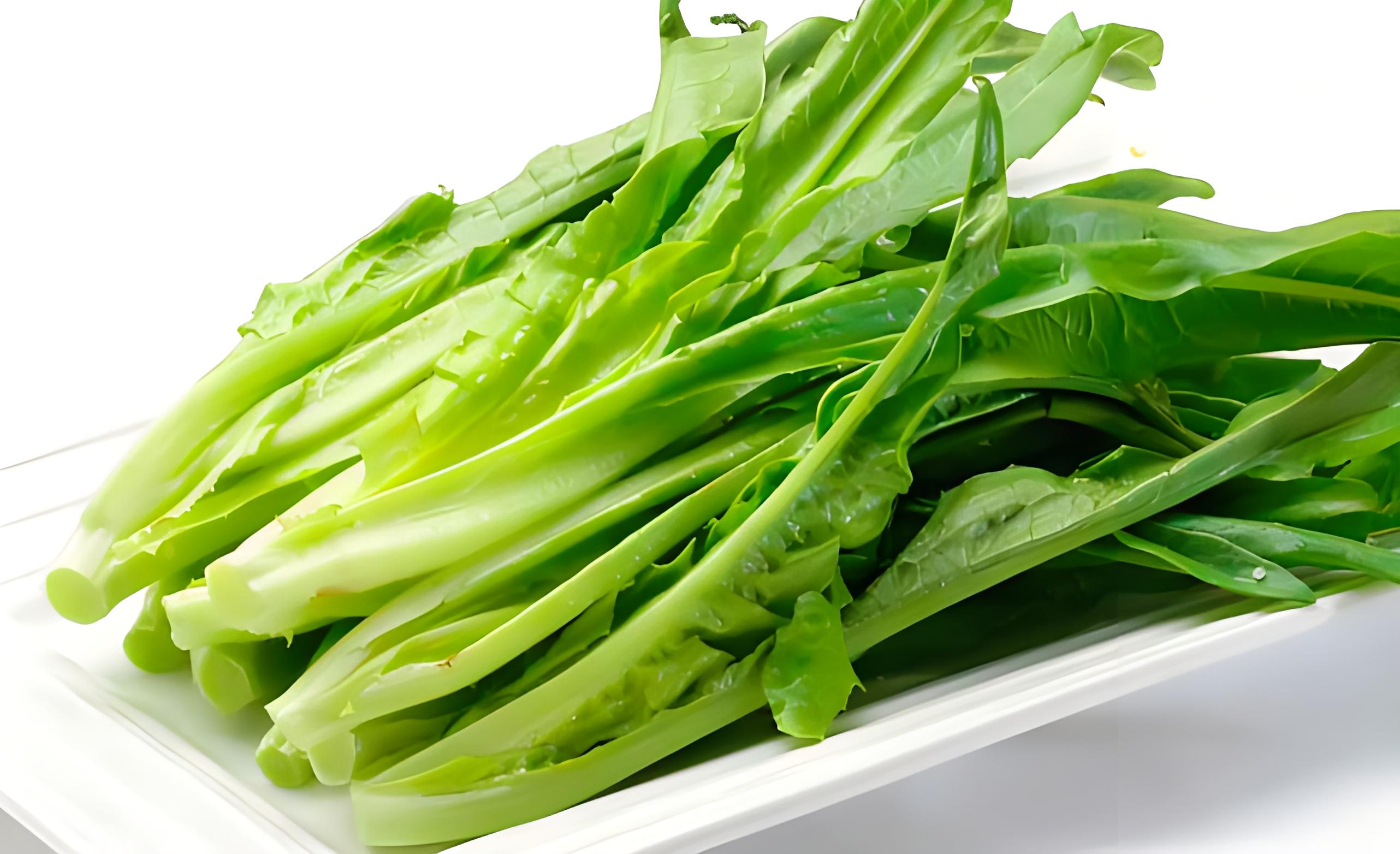 油麦菜是寒性还是热性,油麦菜的做法有哪些?