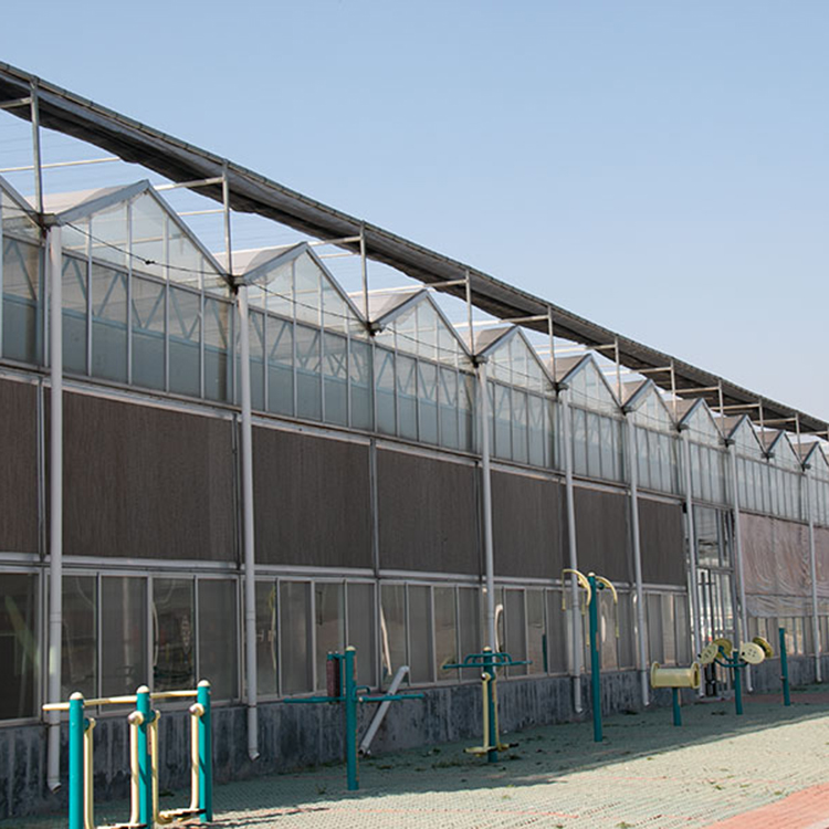 现代化温室大棚如何设计建造