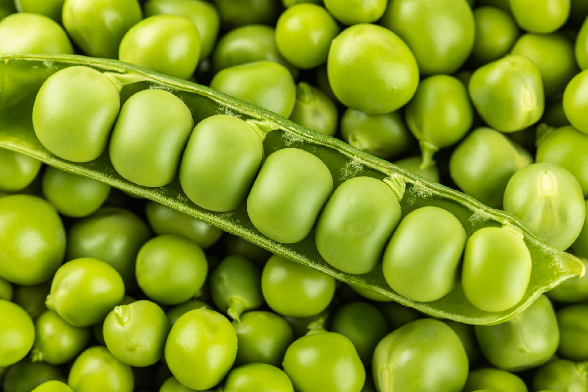 "春吃豆,胜过肉",别错过营养丰富的豆子,但有类人吃了会出事