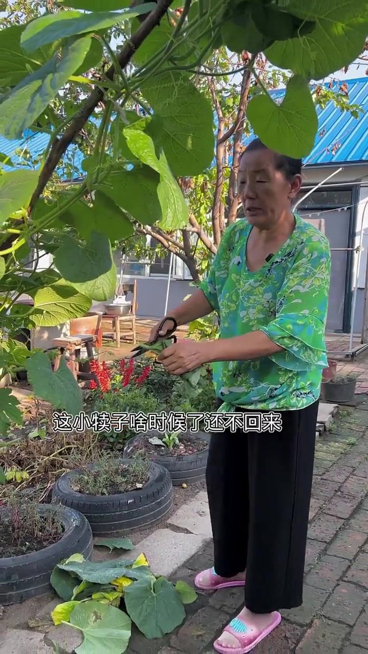 奸懒馋滑的亮子,一招被婆婆治服
