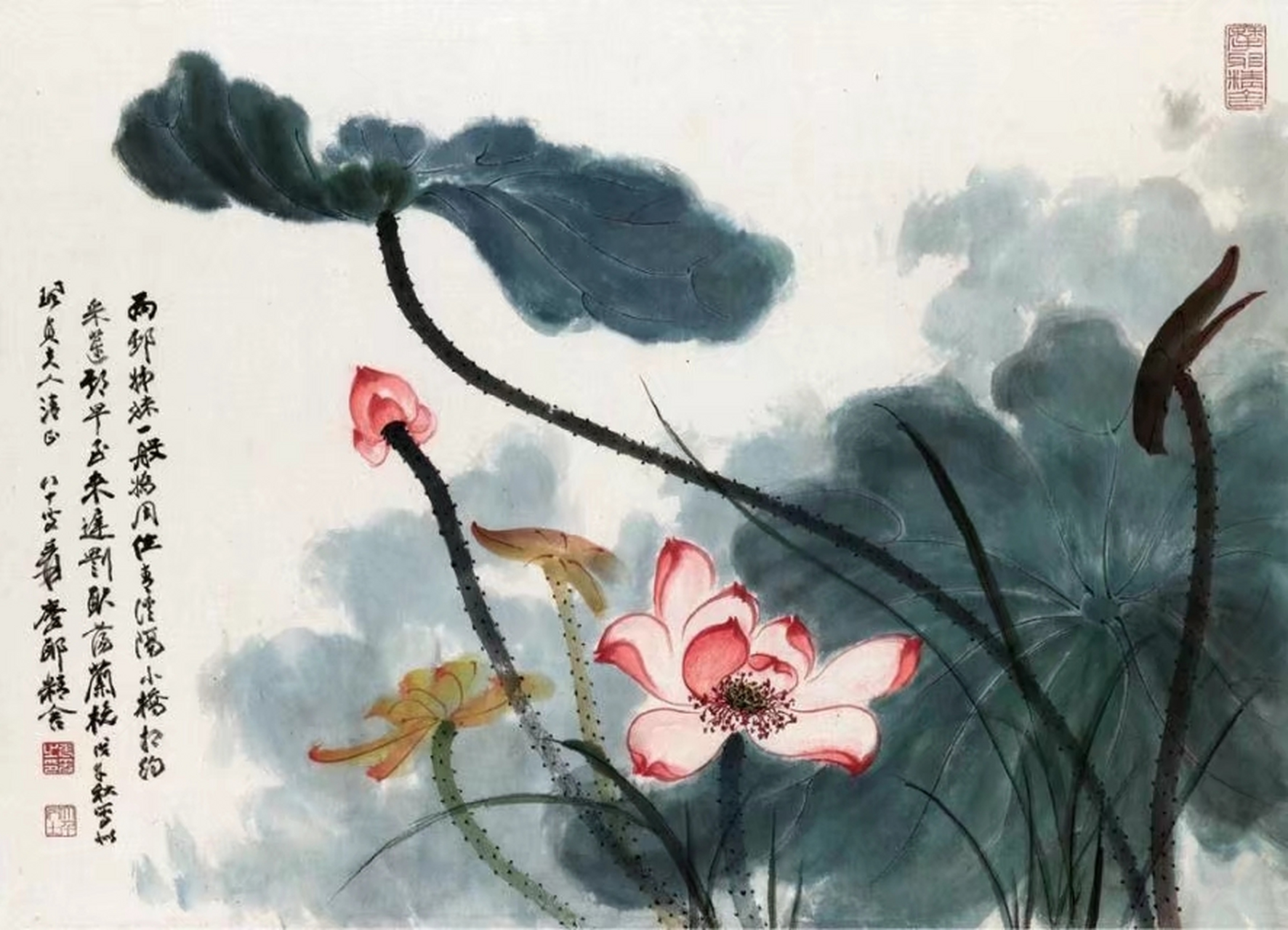 张大千画荷(二),笔墨恣肆,胸有贵气,追慕八大山人.