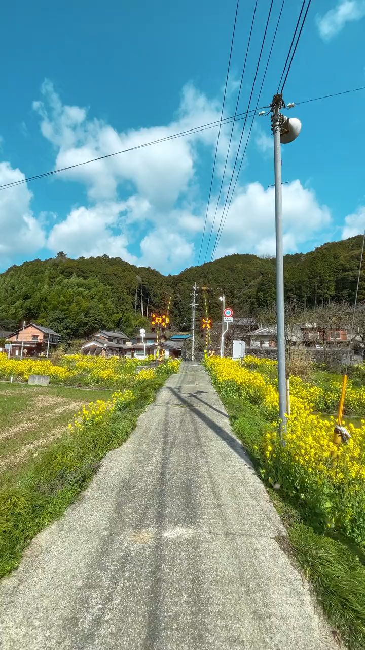 真实乡间小路图片图片