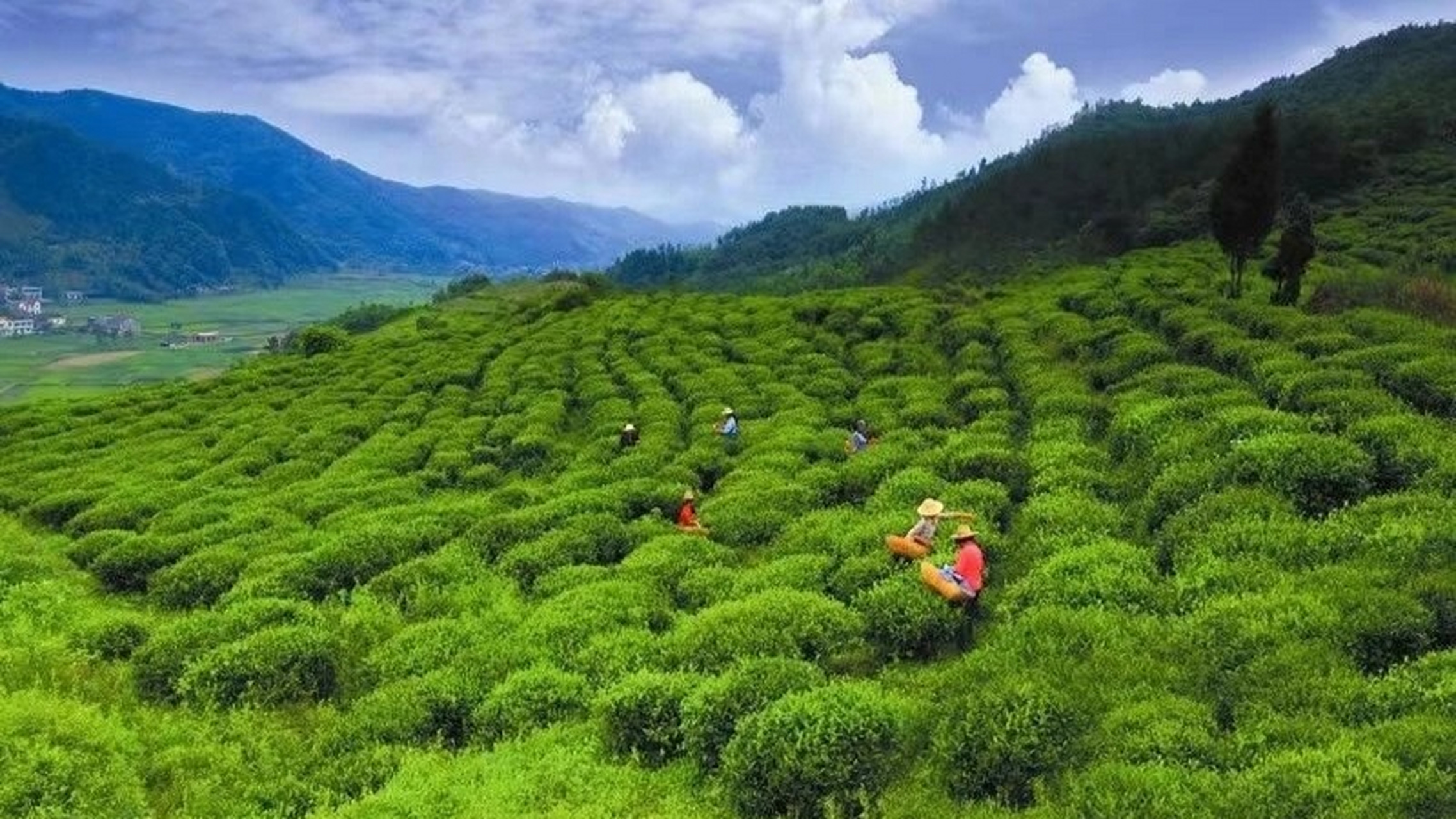 湖北十堰竹溪首富图片