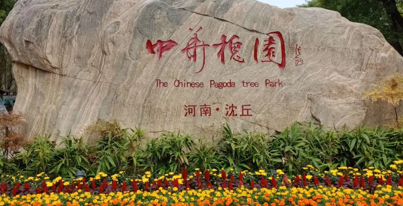 沈丘一日游最佳景点,中华槐园的生态奇迹