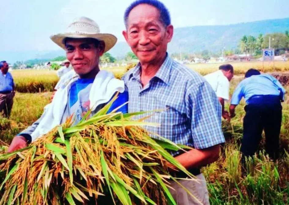 回顾水稻之父袁隆平被丑化秃头加小辫子画家本人称这是艺术