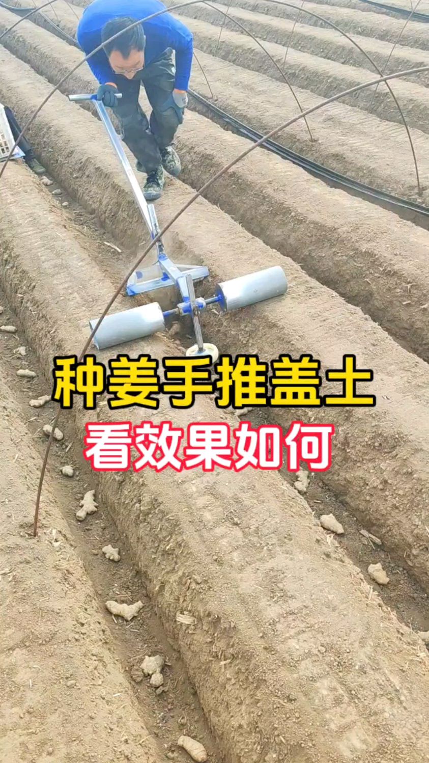 生姜种植手推盖土埋姜种工具-度小视