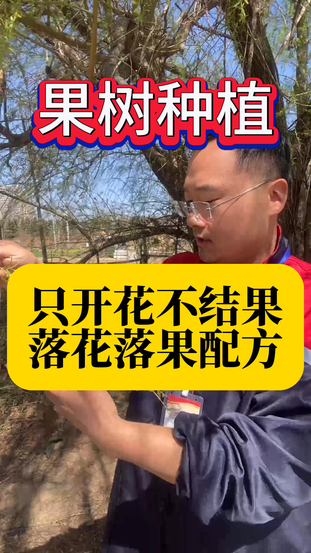 果树只开花不结果落花落果配方