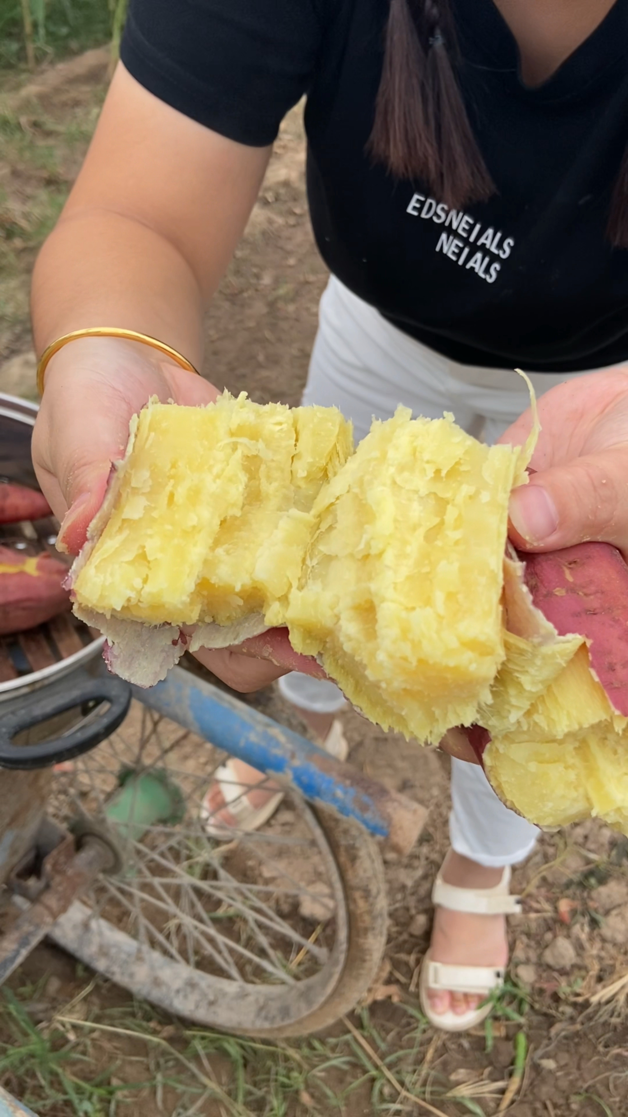 又粉又面又香甜的桥头地瓜板栗红薯,无筋无丝不塞牙,优质农产品