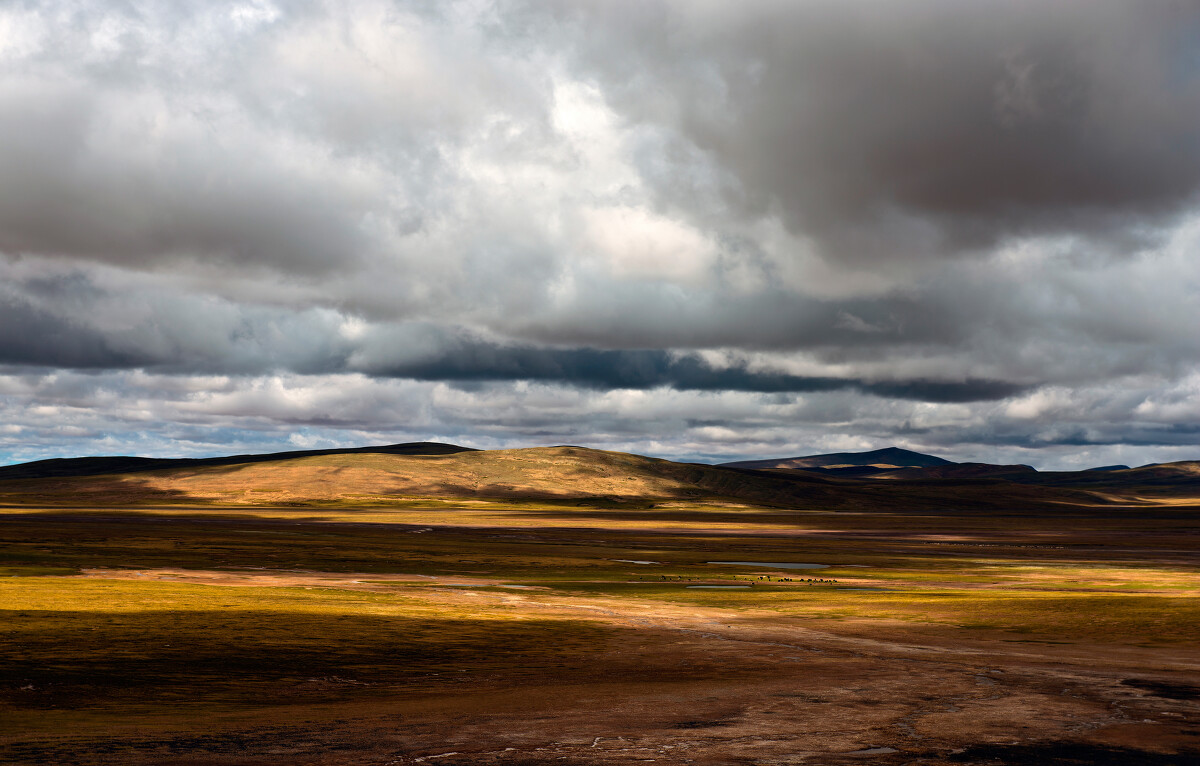 文字有声不陌生的诗:《智强和思尚的气量》