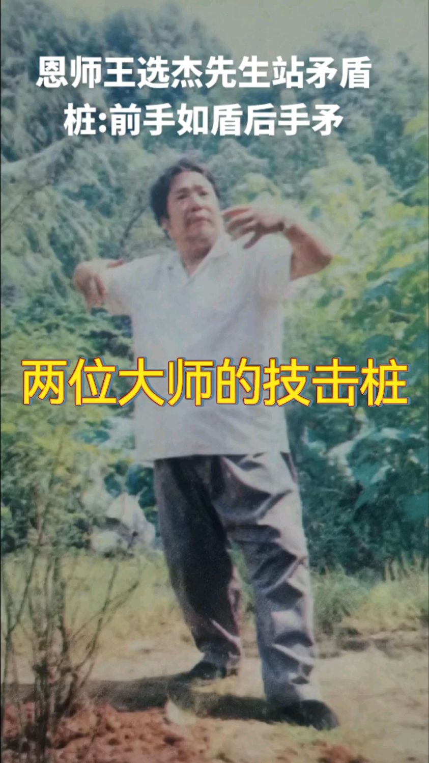 王选杰和姚宗勋两位大师的矛盾桩.前手如矛后手如盾,肩撑肘横