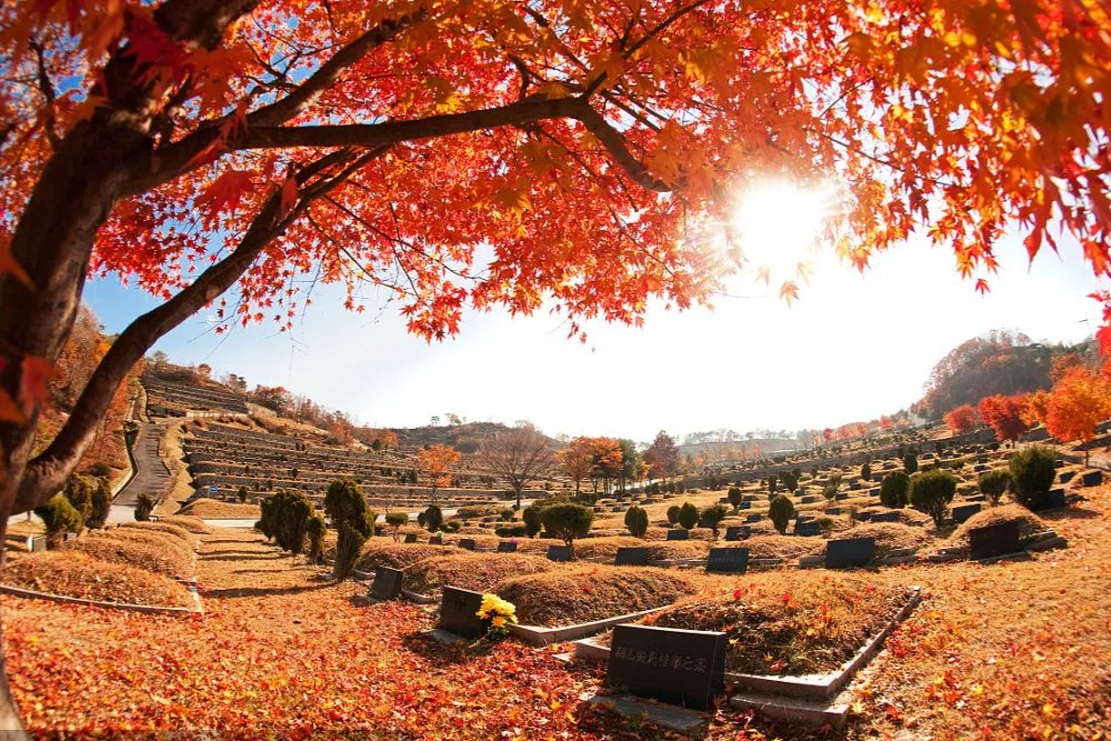 宁波四明山风景区图片