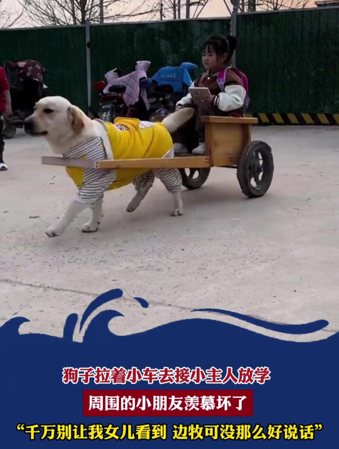 狗子拉着小车去接小主人放学,周围的小朋友羡慕坏了