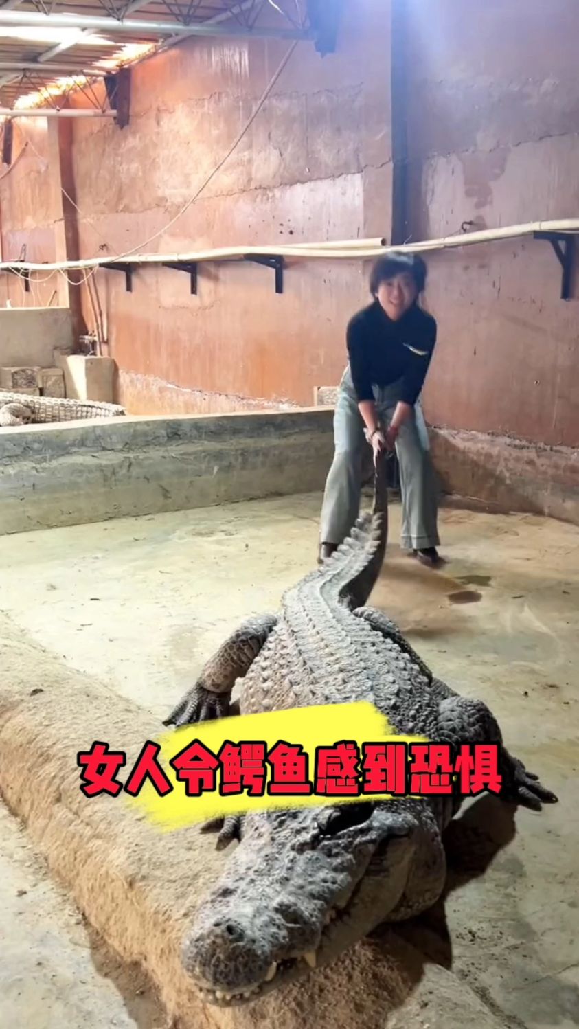 女人有多可怕鳄鱼都得跑