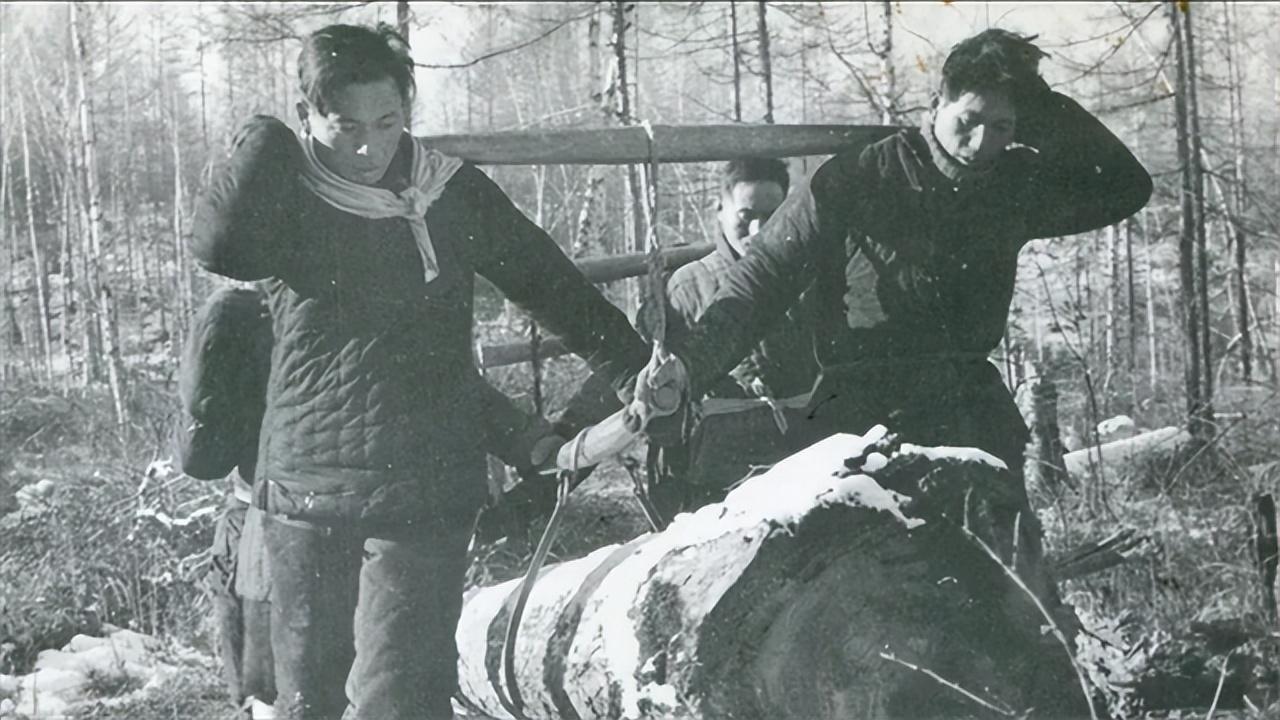 1963年伐木工在山中捡到一枚印章公安知情后调3卡车兵力搜查