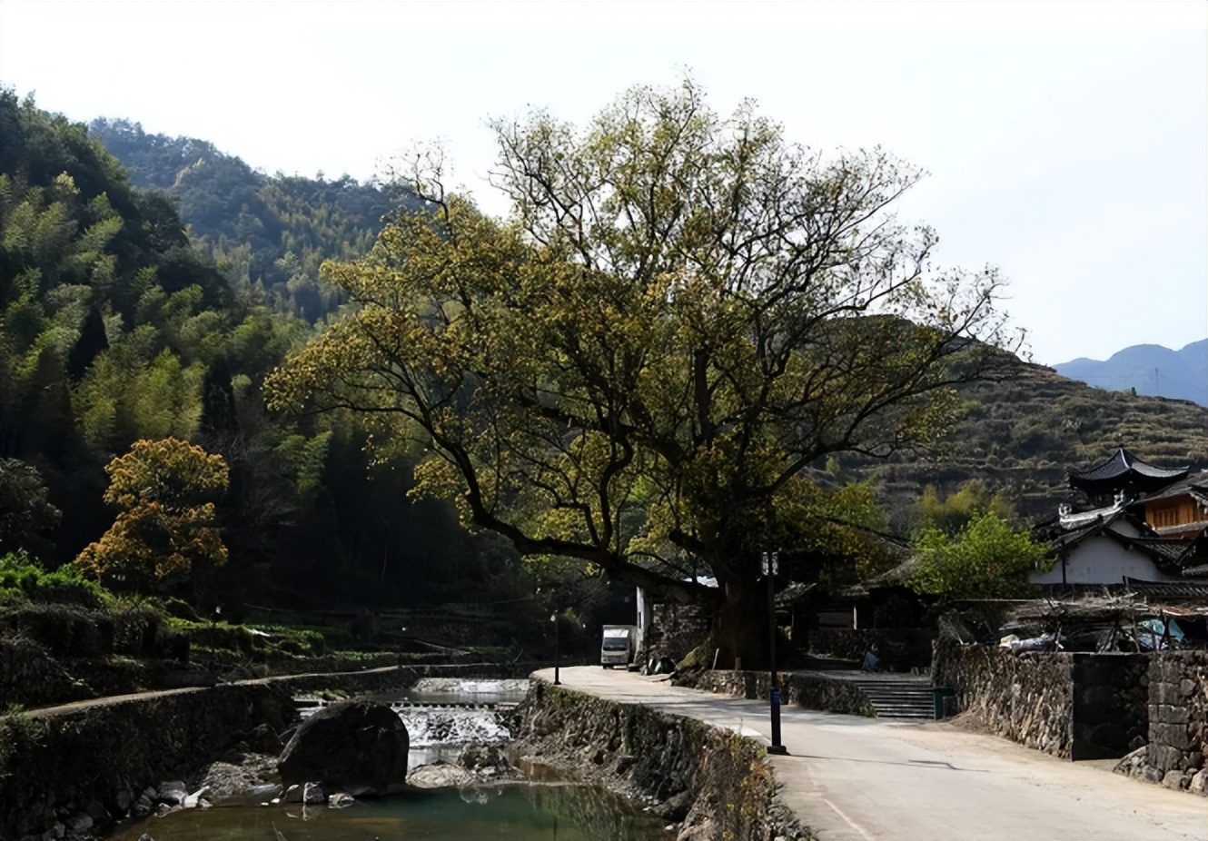 嘉善乡村旅游景点图片