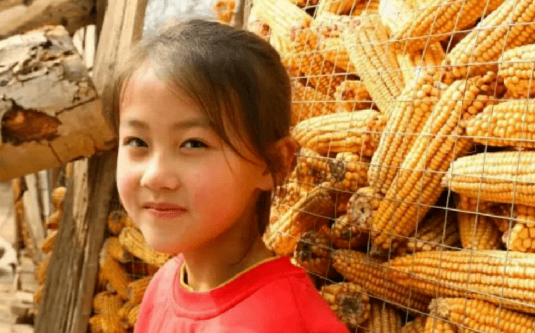 2021年宁夏7岁女孩因一张笑脸走红父母却为她婉拒100万签约