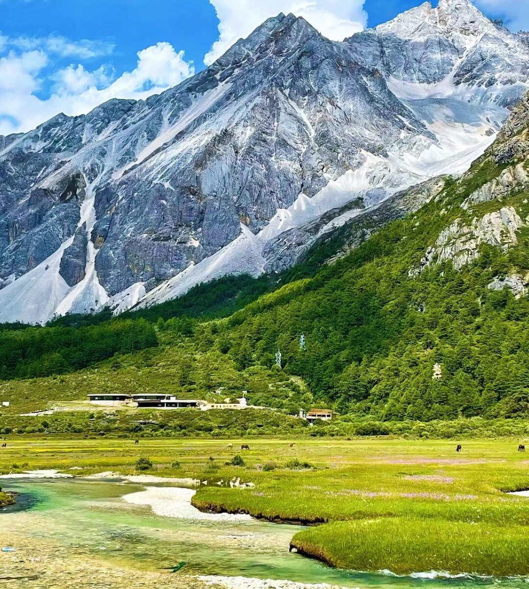 四川卧龙景区旅游攻略图片