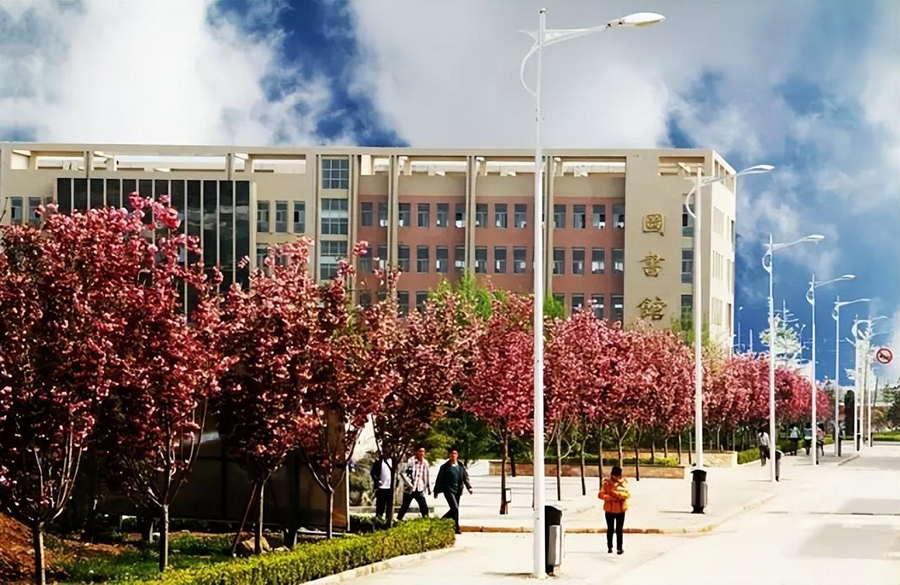 纪实感动中国背起爸爸上学的李勇现在怎么样了