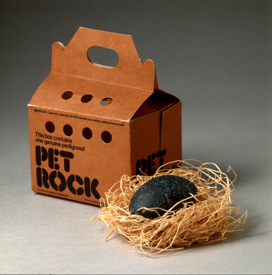 韩国迷上宠物石头爱豆人手一颗工作太烦猫狗太累养块石头正好