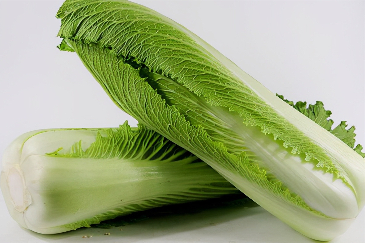 我国哪的大白菜好吃经对比这4个地方比较有名有你家乡吗