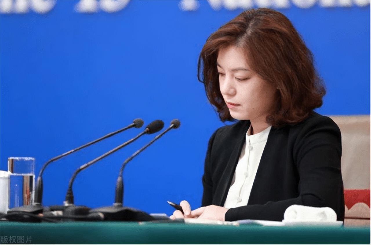 回顾美女翻译从小喜欢英语拒绝保送清北被称为最美翻译官