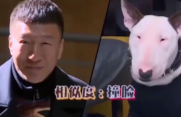 五,孙红雷——黄渤认定的牛头梗