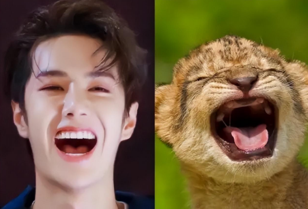 七,王一博——小豹子