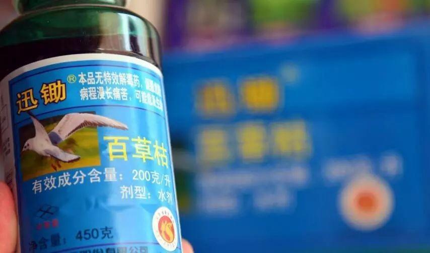 回顾百草枯之父李德军没想过有人会喝它卖了多久愧疚了多久