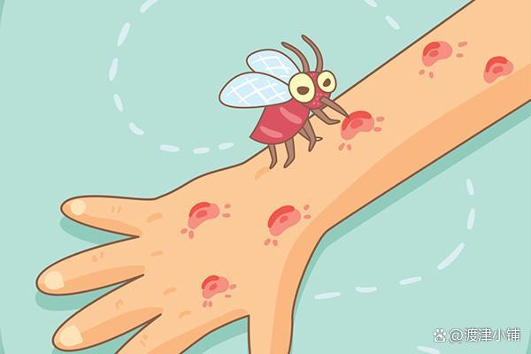 九成人不知蚊子的克星是啥简单1招开窗也能睡安稳觉