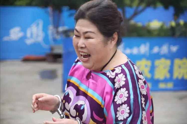 多重人生角色富婆董立范经历瓦工与初恋骗局59岁无人敢追求