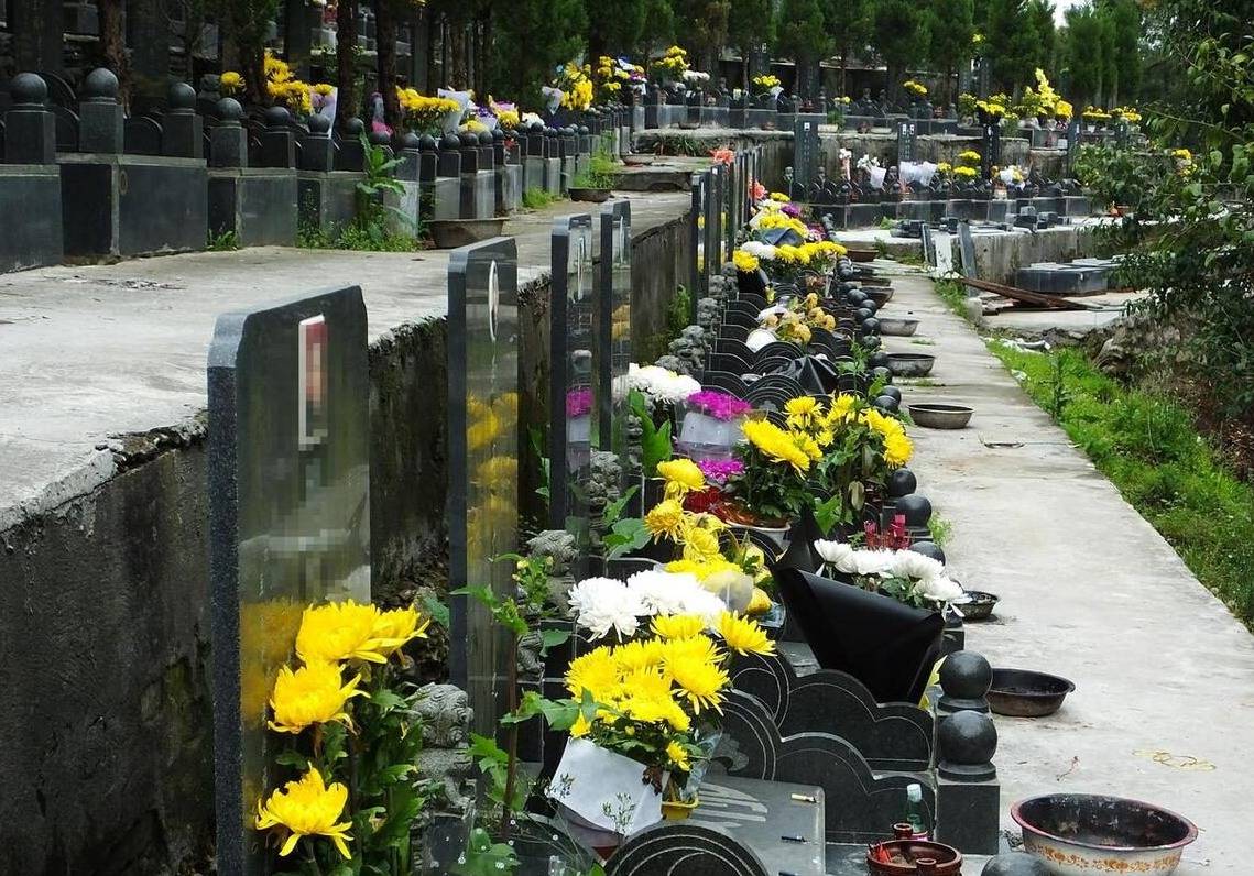 "上坟忌4样,家兴人丁旺",清明扫墓别带4种贡品,避免闹出笑话