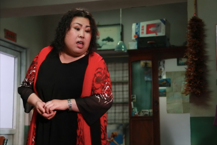 多重人生角色富婆董立范经历瓦工与初恋骗局59岁无人敢追求