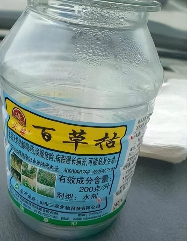 百草枯奶茶图片