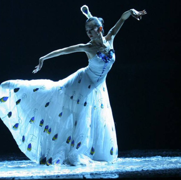 回顾杨丽萍为舞蹈放弃生育如今64岁无儿无女她后悔了吗