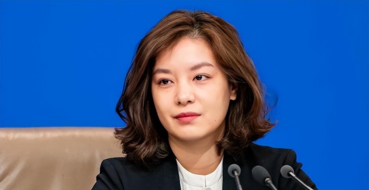 回顾美女翻译:从小喜欢英语,拒绝保送清北,被称为"最美翻译官"