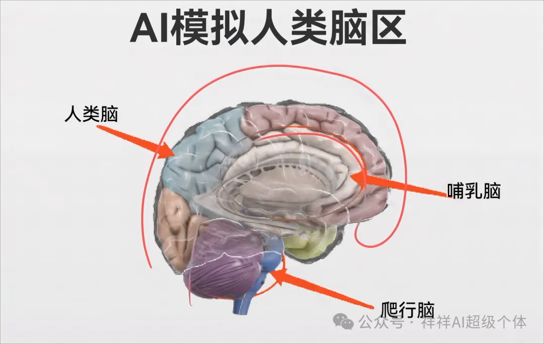 谈谈人与ai的互补生态位与ai共舞探索人类在技术革命中的位置